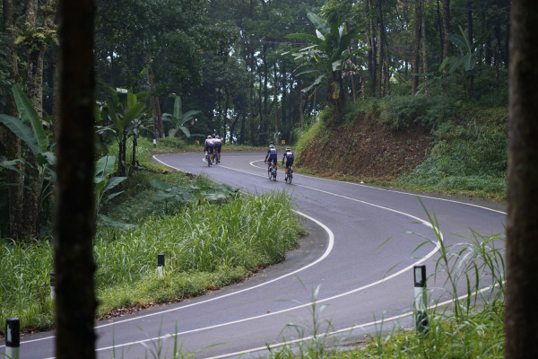 Image description