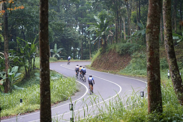 Image description