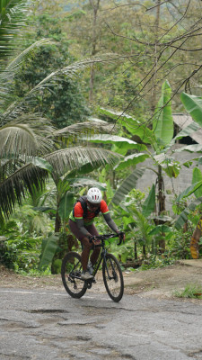 Image description