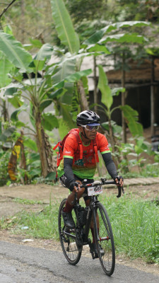 Image description