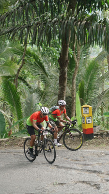 Image description