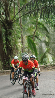 Image description