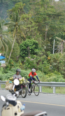 Image description