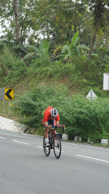 Image description