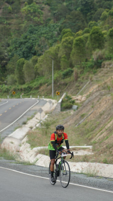 Image description
