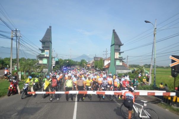 Image description