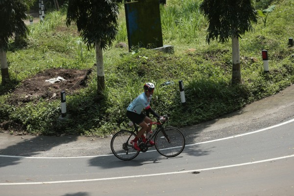 Image description