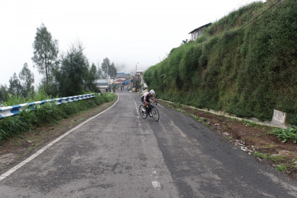 Image description