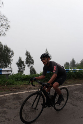Image description