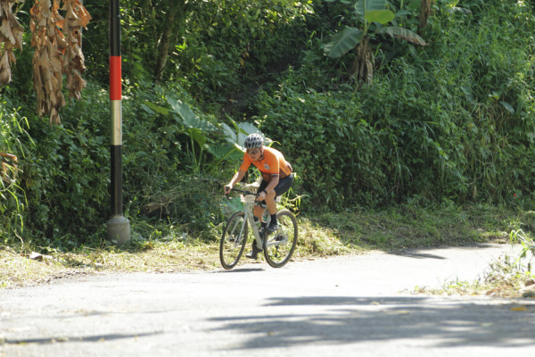 Image description