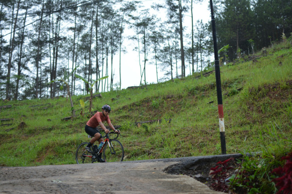 Image description
