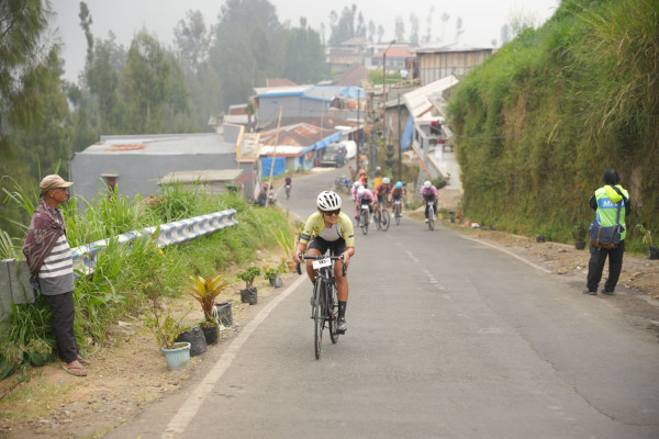 Image description