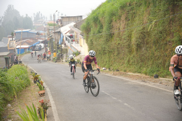 Image description
