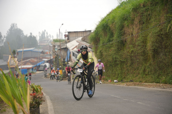 Image description