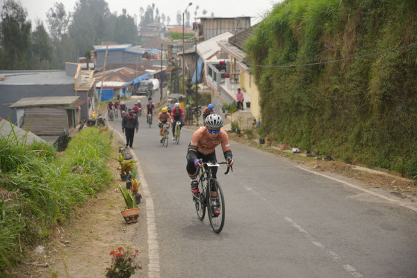 Image description