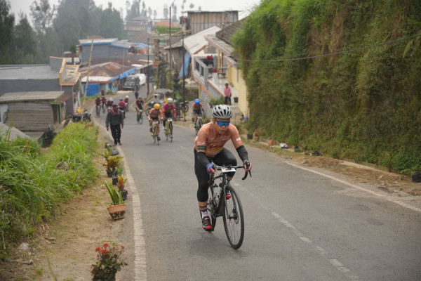 Image description