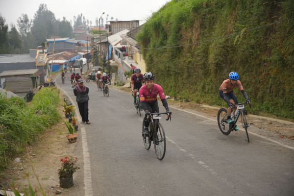 Image description