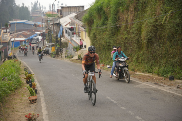 Image description
