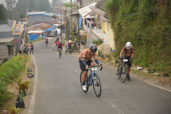 Image description