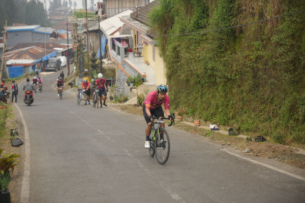 Image description