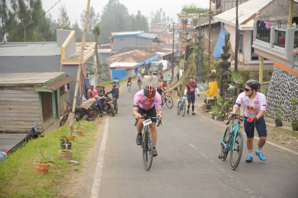 Image description