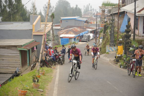 Image description