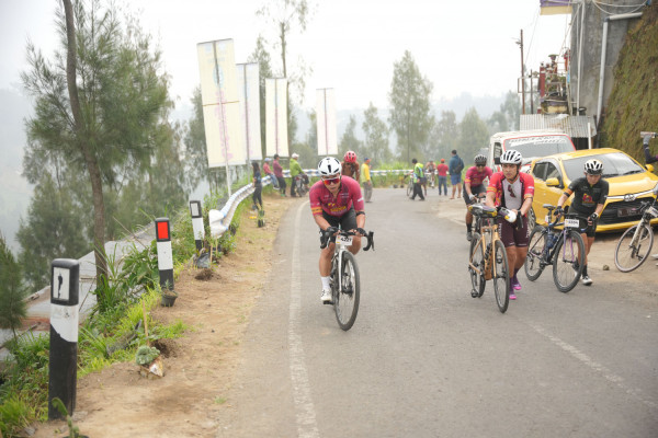 Image description