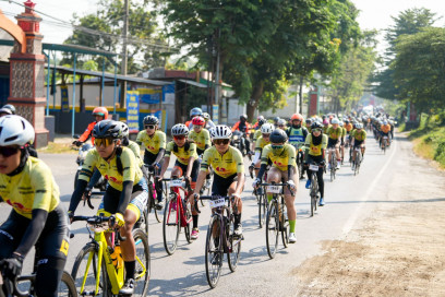 Image description