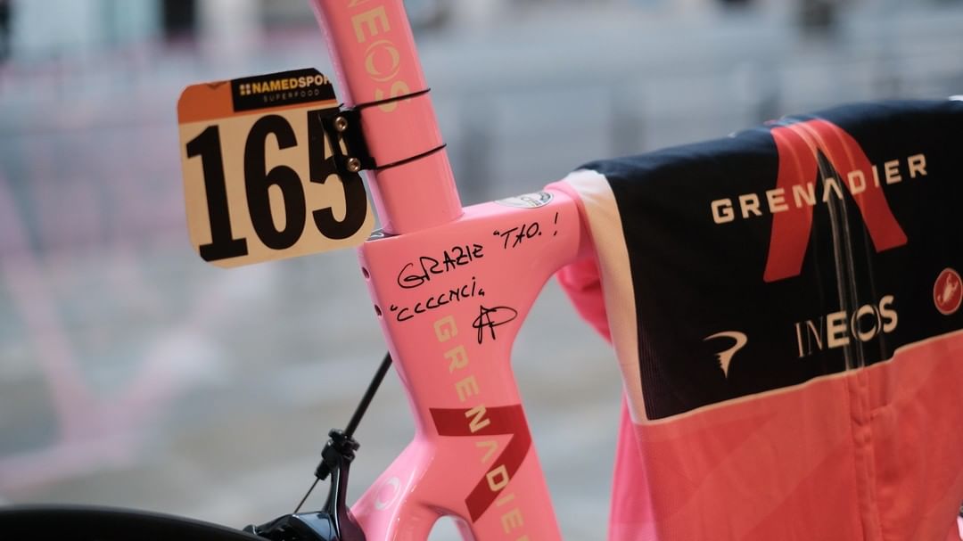 Dogma f12 pink cheap